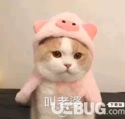 抖音叫媳妇叫老婆说爱我套图表情包分享 抖音叫媳妇叫老婆说爱我套图表情包分享