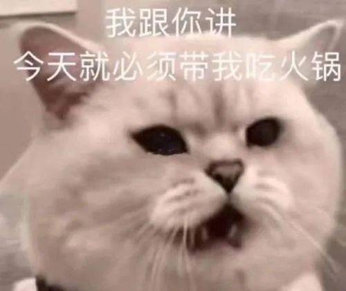 微臣做不到啊表情包撒娇