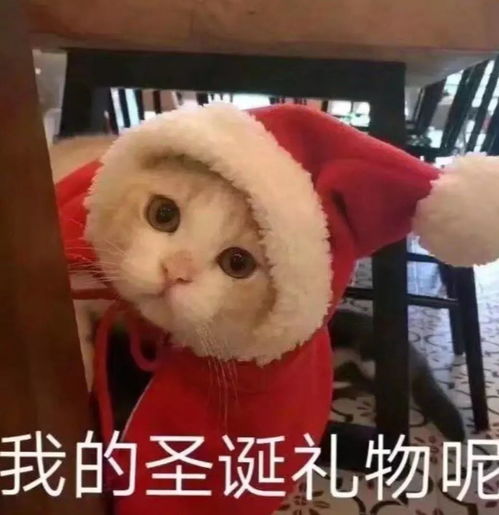 小曲奇表情包微信圣诞节