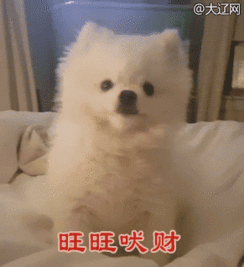 2018最新斗图表情包武功