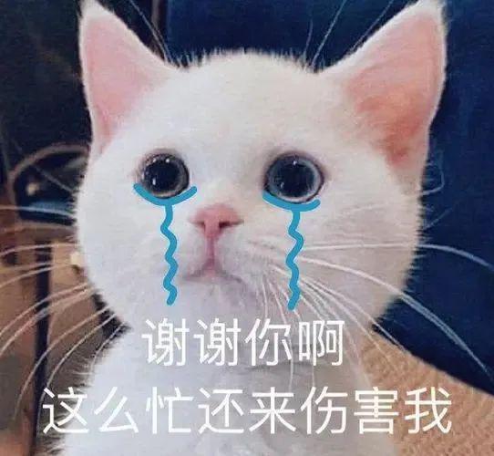  凭运气赚来的钱,我是怎么凭本事赔光的