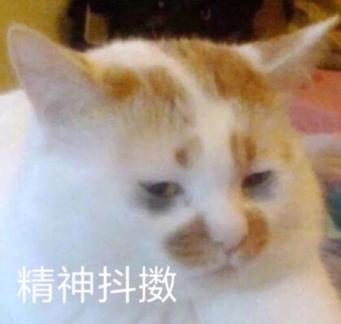  表情包沙雕表情包第三百九十二期