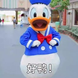  嗨起来成都这些网红打卡地你都晓得哪些