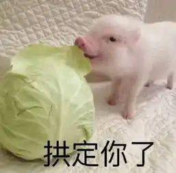 可爱猪猪表情包高清无水印下载可爱猪猪表情包高清无水印app下载可爱猪猪表情包高清无水印手机版下载 可爱猪猪表情包高清无水印下载可爱猪猪表情包高清无水印app下载可爱猪猪表情包高清无水印手机版下载