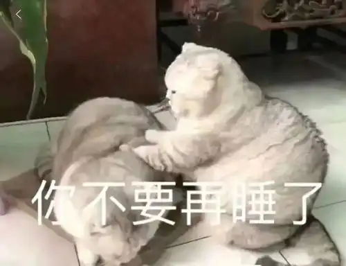 发给对象的表情包沙雕