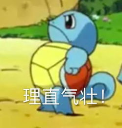 你懂我表情包大全杰尼龟