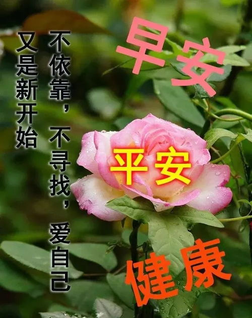  好看的早上好的祝福语图片大全,唯美早上好动态表情包