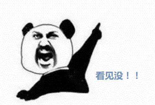 啪的一声没了的表情包加