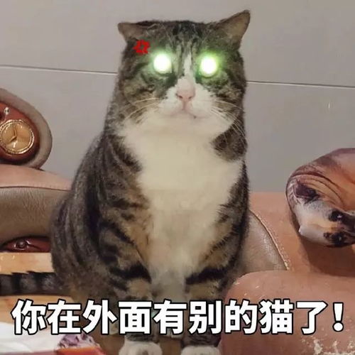  表情包舔狗寻找目标,请求与哥哥互动