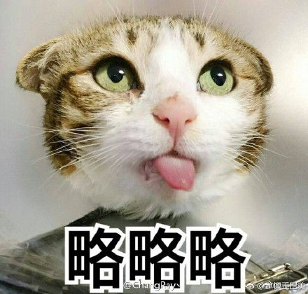 哼可爱表情包可爱动物