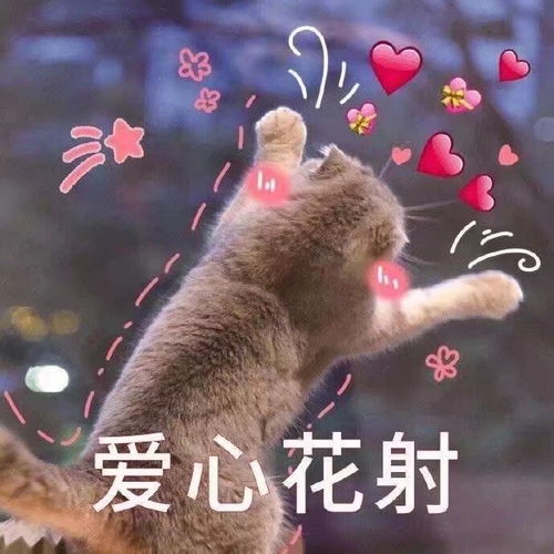  uu们有没有什么温暖有力量的推荐
