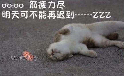  这哪家公司,十条奇葩规定,你能看懂几个