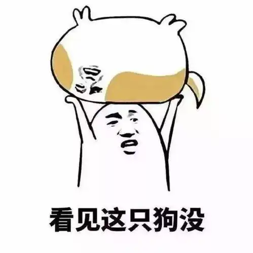  31号之后