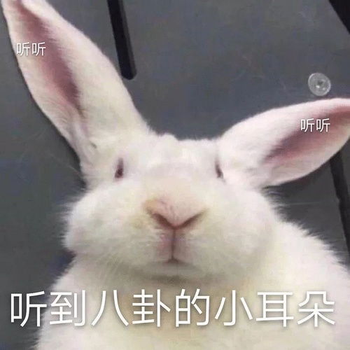 真香表情包图片可配字米