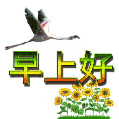 微信群问候早安的动态表情包微信群问候早安好句子 微信群问候早安的动态表情包微信群问候早安好句子