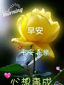  清晨最暖心的早安问候语,最美早安带字带祝福图片