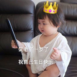  罗熙祝我生日快乐表情包合集