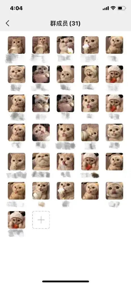  我宣布这只猫承包了我一年的头像和表情包全网最萌小猫咪我不允许你还不知道