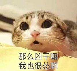  傲族365丶牧九照片傲族365丶牧九相册大全yy官方