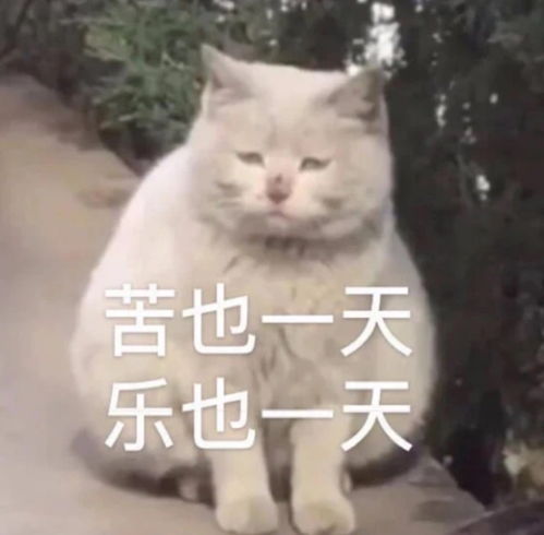  我有个疑问,如果公司特别迷信
