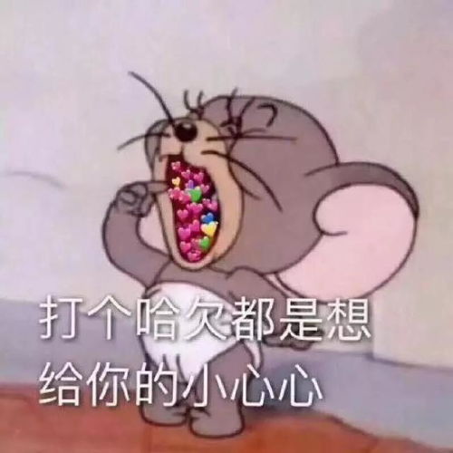 撩汉表情包全套猫咪