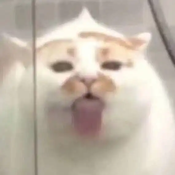 realhgd的个人空间acfun弹幕视频网认真你就输啦ω realhgd的个人空间acfun弹幕视频网认真你就输啦ω