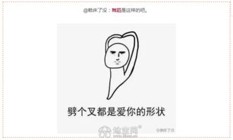  笑喷用一个表情包形容你的专业,网友太有才了