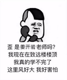  学生期末发跳楼表情包,这位老师竟当真了