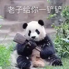 超可爱的熊猫表情包 超可爱的熊猫表情包