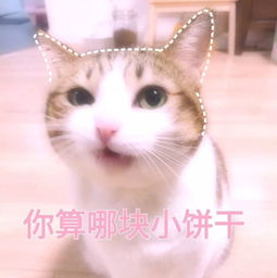  粉萌喵