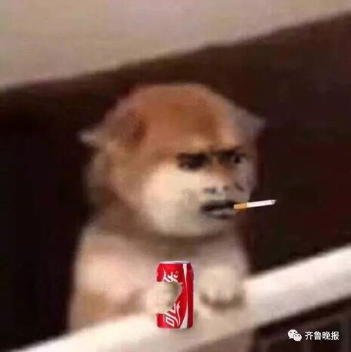  非洲女孩与中国男子闪婚没几天就要离婚,原因是丈夫说了句滚,她听懂了