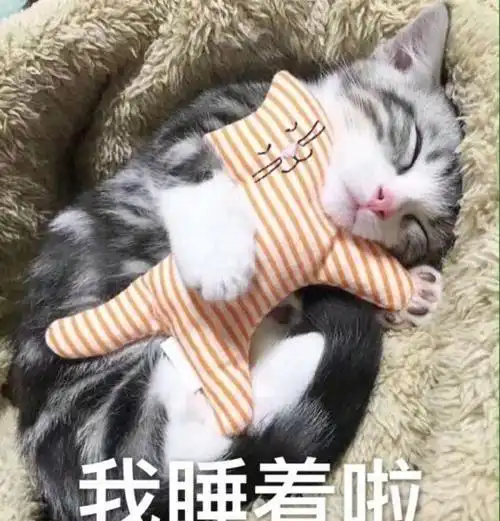 可爱喵咪表情包狗头