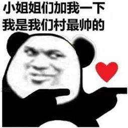  熊猫头表情包