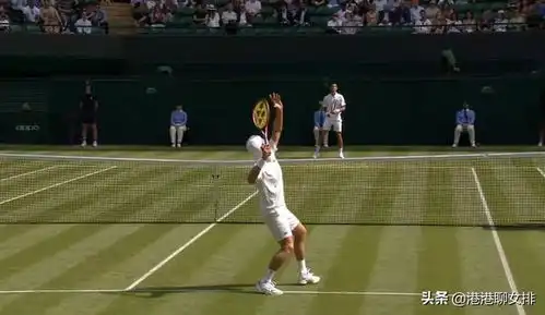 世界名人表情包科维奇