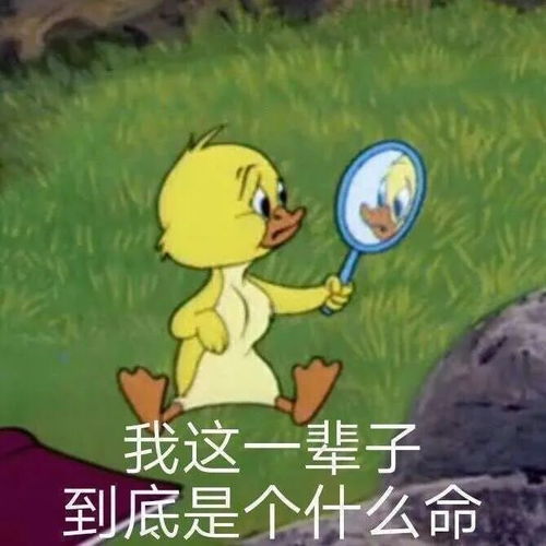 没钱了图片表情包文案