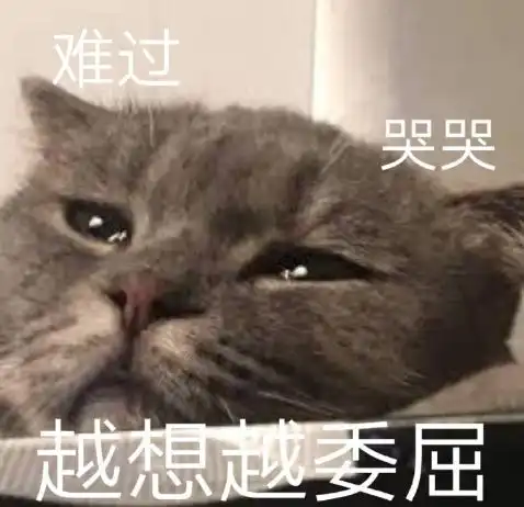 丸丸表情包别再让