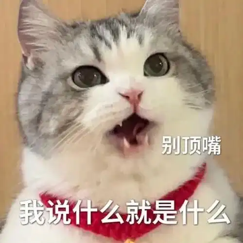 黑猫舔爪表情包微信怎么搜今日头条 黑猫舔爪表情包微信怎么搜今日头条