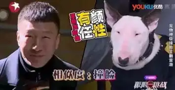 你以为谁想有幽默感都可以有的么 你以为谁想有幽默感都可以有的么