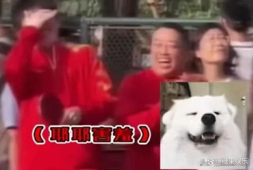  惊讶王楚钦竟被公园小伙完虐,输球后摸头,刘国梁表情成焦点