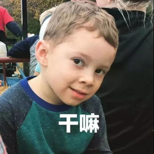  表情包小可爱假笑男孩gavinthomas开微博啦