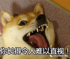  现在的小情侣老是在公园做这种事
