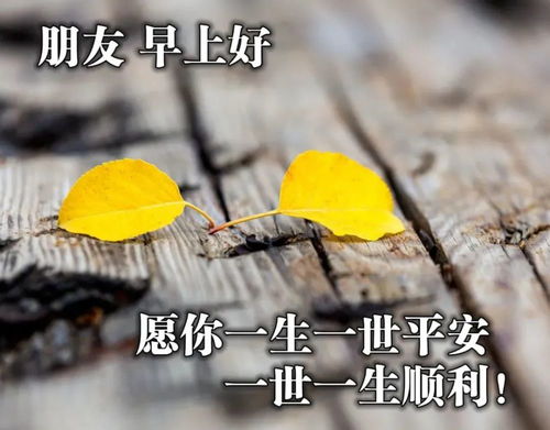  8月18日早上好每日问候
