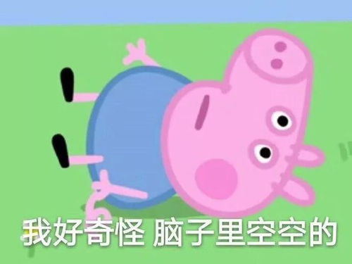 旅途囧事遇到过3件算我输