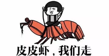  2017年十大网络用语,看不懂您就老了