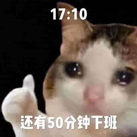  可爱熊猫表情包
