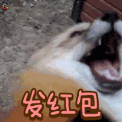 新年祝大家愿旺成真,十犬十美黄冈人拜年必备祝福语表情包,速速收藏 新年祝大家愿旺成真,十犬十美黄冈人拜年必备祝福语表情包,速速收藏