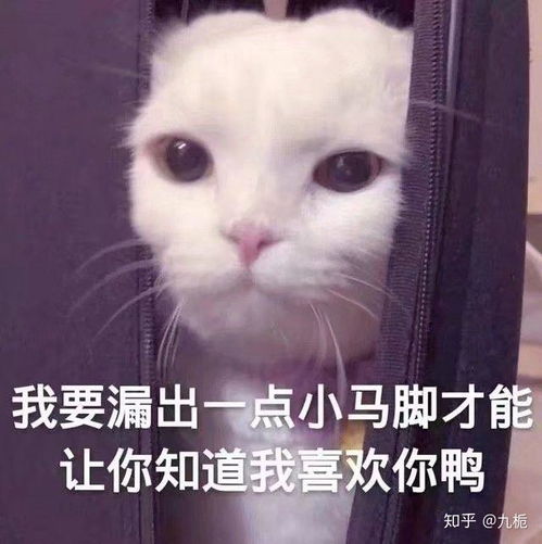  有哪些适合和喜欢的男生聊天女生用的可爱表情包
