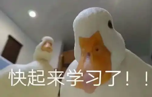 开车上路遇到障碍物,如何躲避 开车上路遇到障碍物,如何躲避