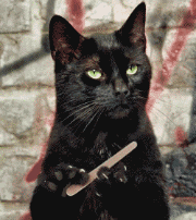 猛虎落泪表情包 微博gif