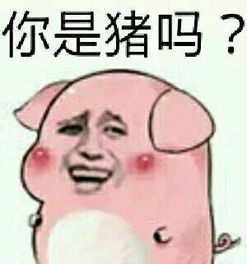  因为一只乌龟,广东人又上了热搜